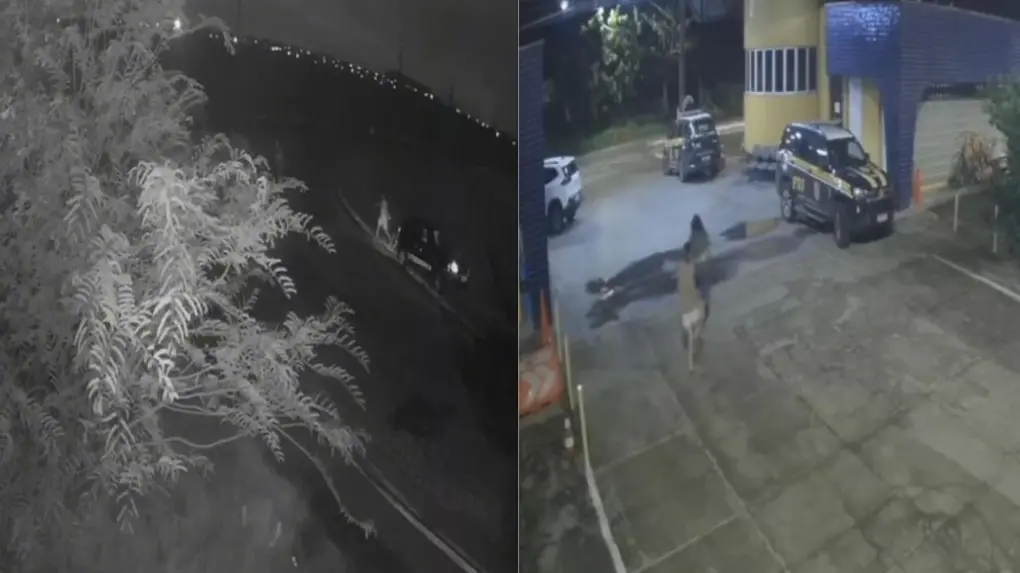 CE: Mulher pula de carro em movimento para fugir de agressões da companheira