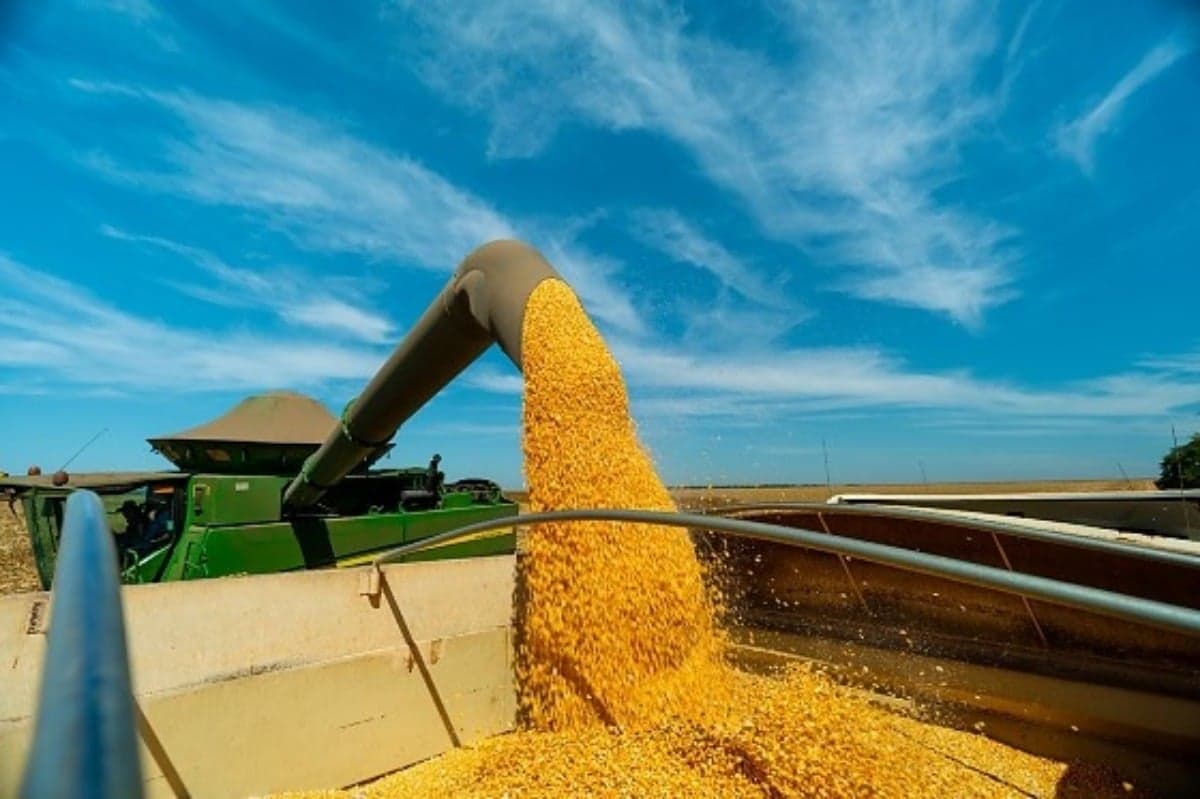 Colheita de milho (imagem ilustrativa) - Foto: Aprosoja MT/Divulgação