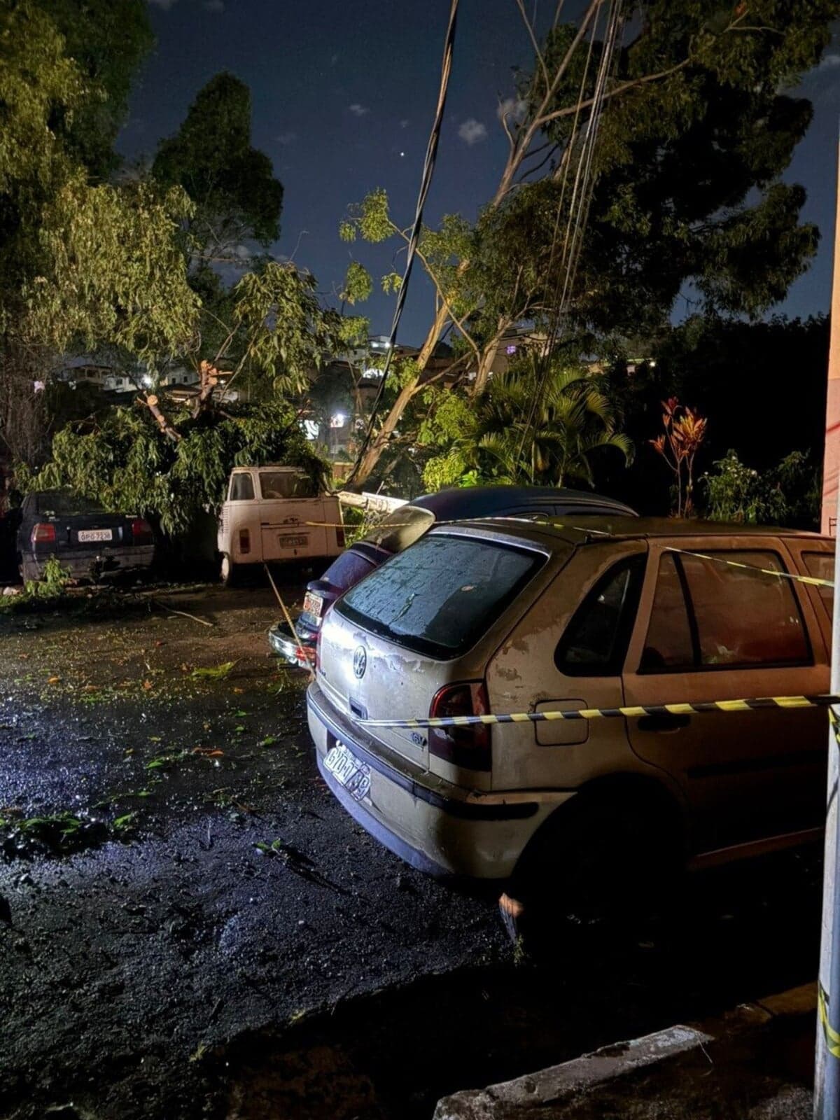 Árvores caíram sobre veículos no Barreiro - Foto: CBMMG / Divulgação