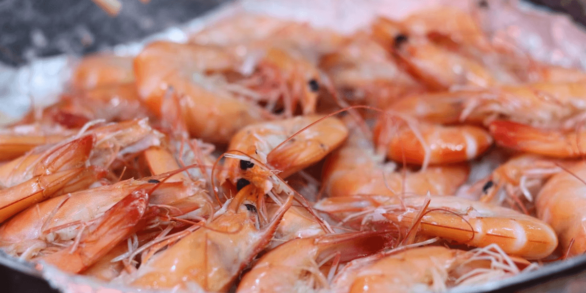 Imagem ilustrativa de camarão - Foto: jaewan_choi / Pixabay