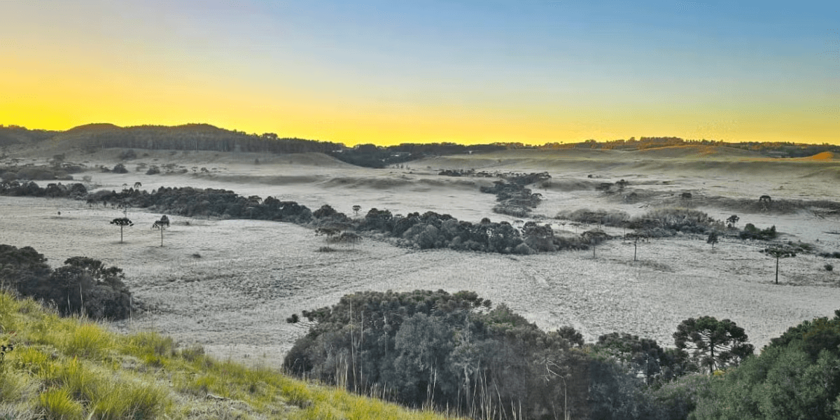 Amanhecer frio em São Joaquim, na Serra de Santa Catarina - Foto: Mycchel Legnaghi/Divulgação