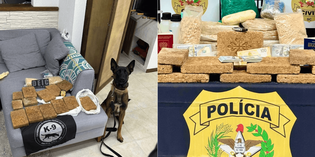 Operação realizada pela Polícia Civil de Santa Catarina (DEIC) - Foto: Divulgação / PCSC
