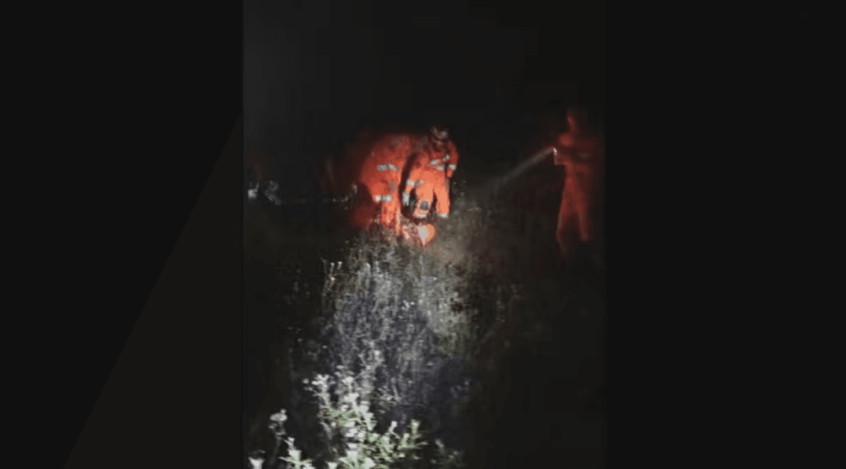 Mulher é resgatada após queda em trilha no Parque do Itacolomi, em Ouro Preto — Foto: Corpo de Bombeiros/Divulgação