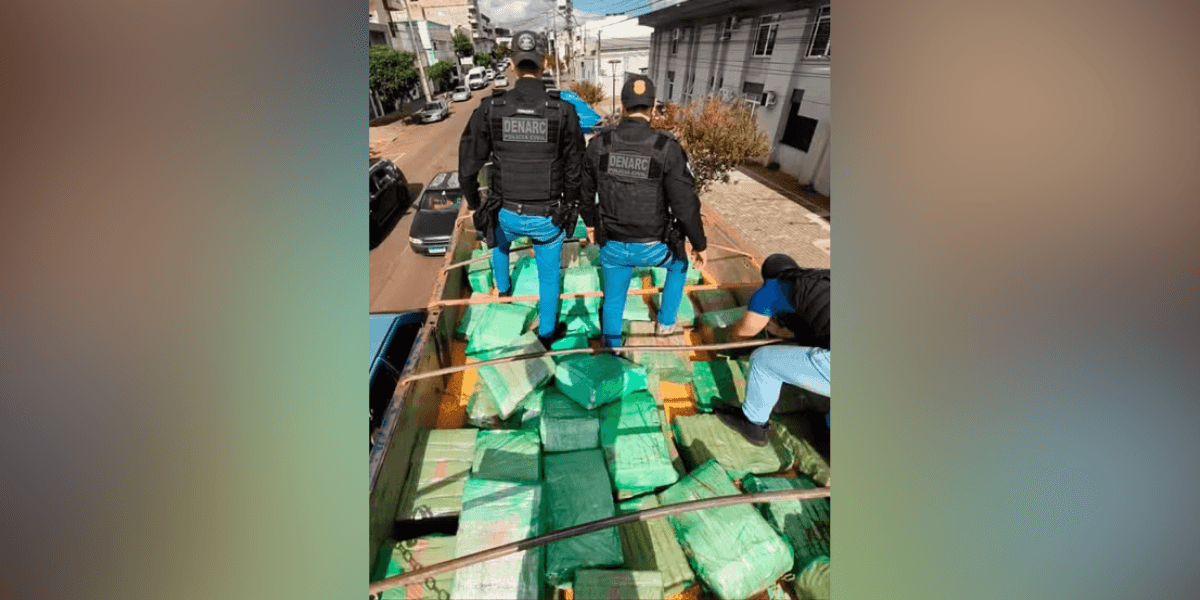Caminhão estava com mais de 2.300 kg de maconha, segundo a polícia — Foto: Polícia Civil