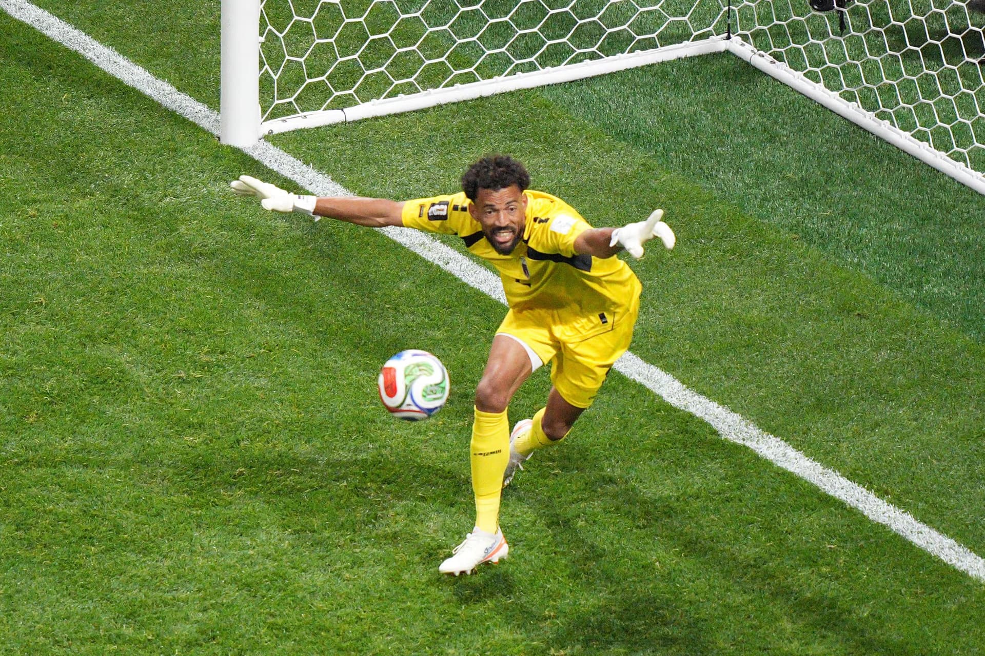 Foto: Fifa/Reprodução
