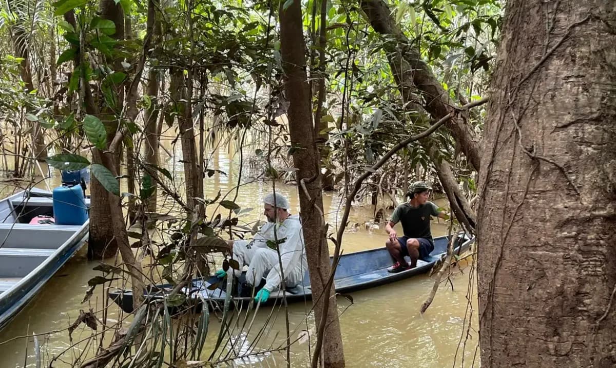 Agentes da PF realizando buscas pelo jornalista Dom Phillips e o indigenista Bruno Pereira na região do Vale do Javari, Amazonas © Divulgação Polícia Federal