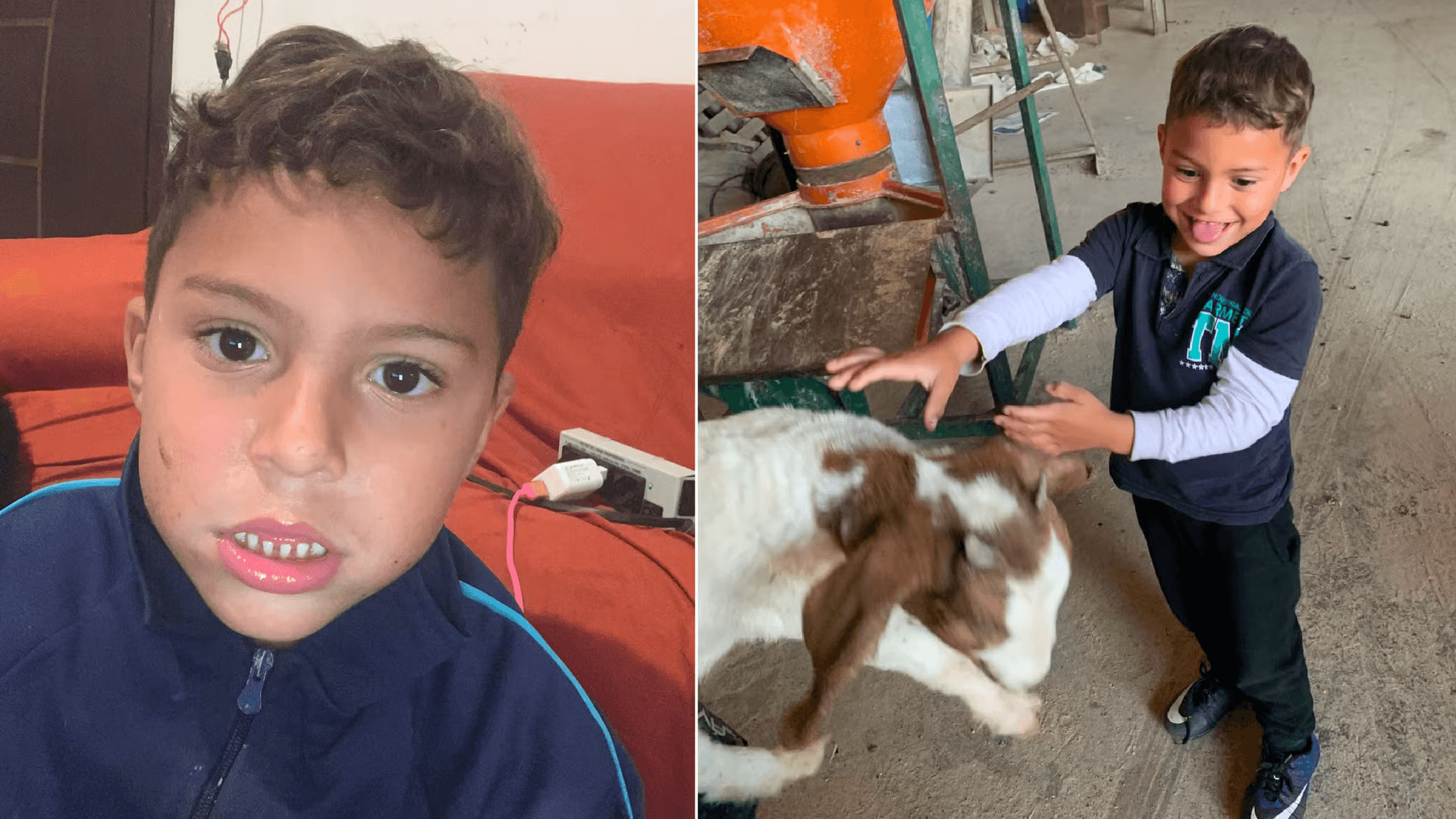 Foto: Reprodução