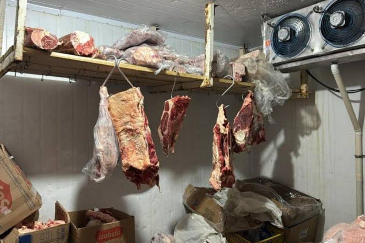 Carnes estão entre as 2 toneladas de alimentos impróprios que foram encontradas - MPRS / Divulgação