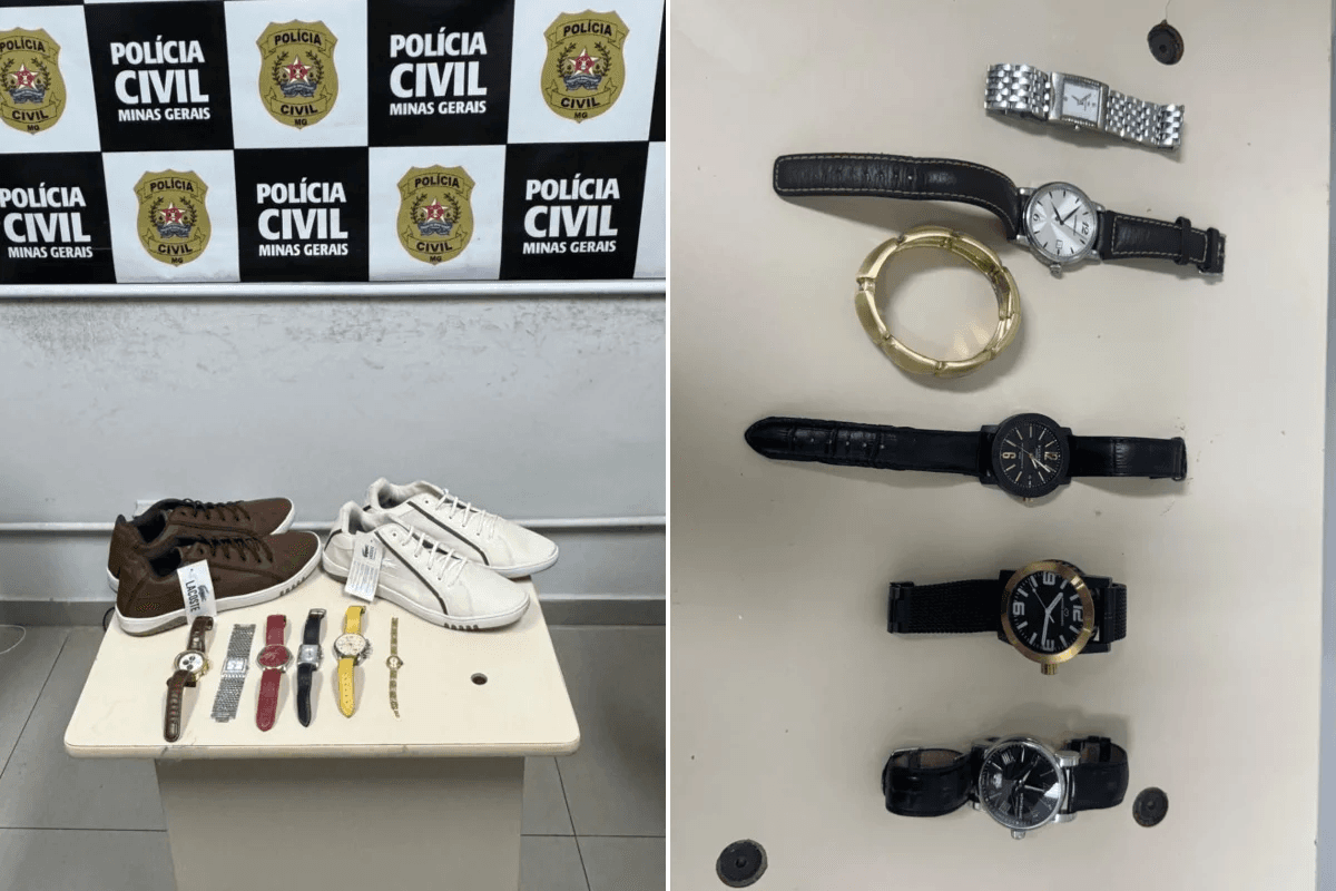 Foto: Polícia Civil/Reprodução