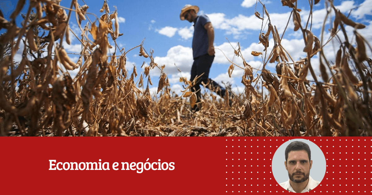 Leonardo Luz: ‘’Os impactos econômicos do novo El Niño já começam a ser sentidos e ameaçam as cadeias globais de valor’’