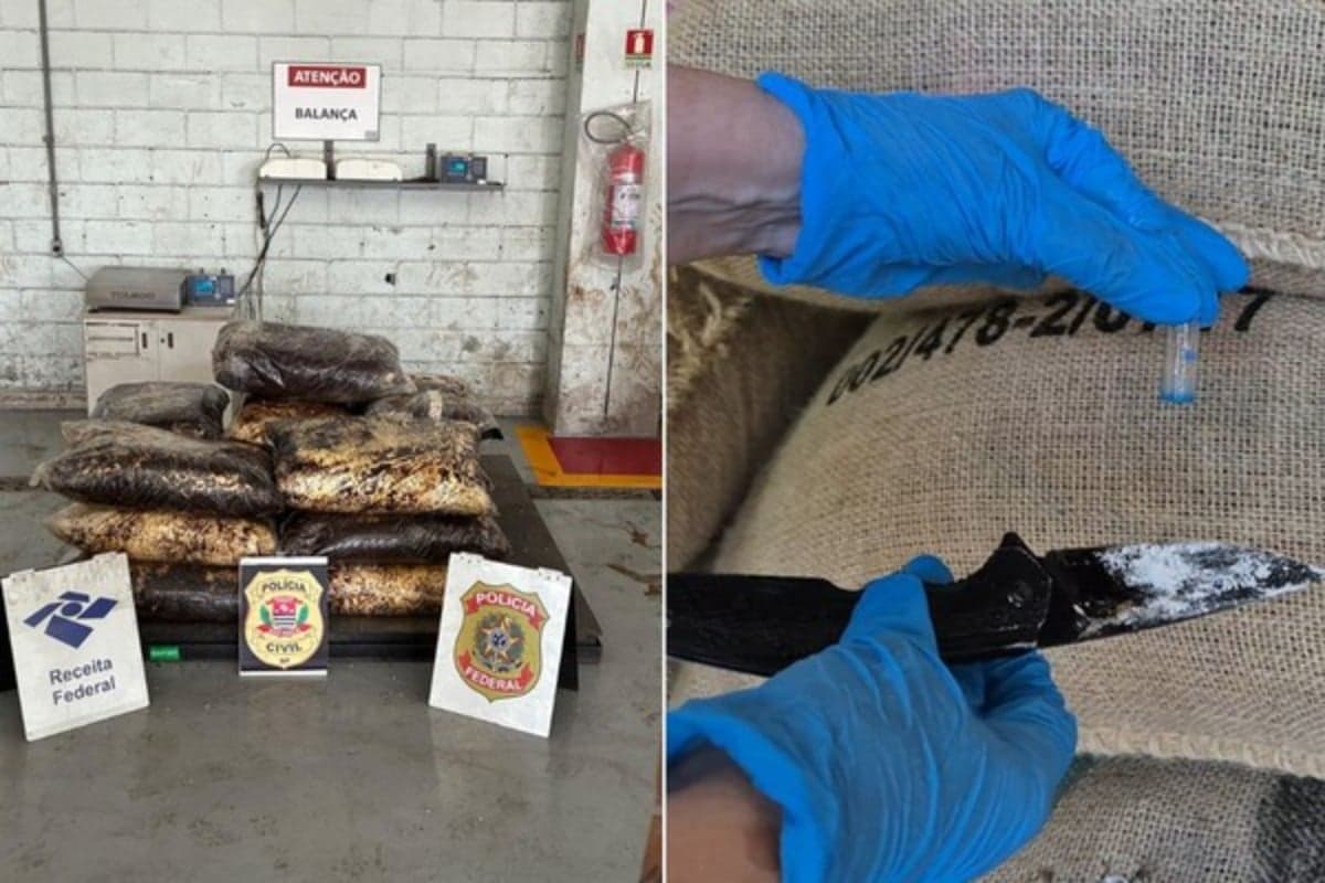Entorpecente estava escondido em carga de café no Porto de Santos. — Foto: Divulgação/Receita Federal