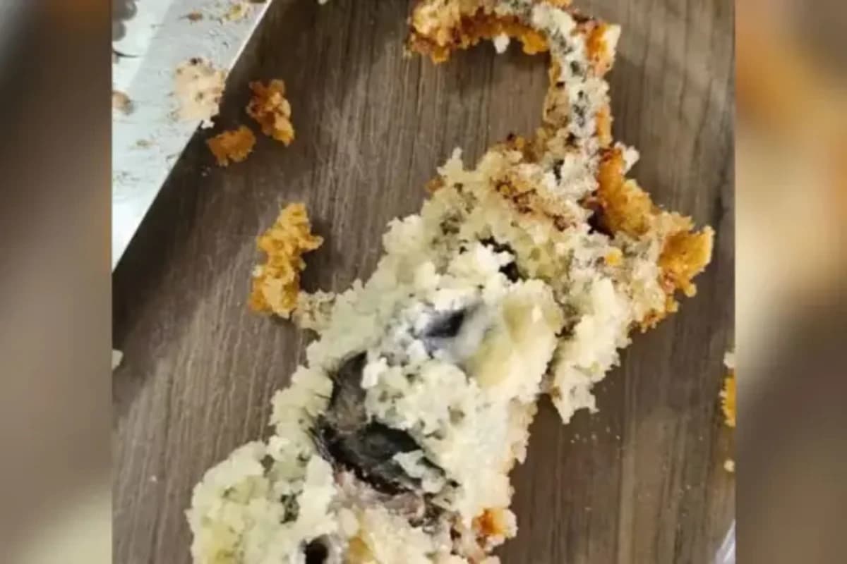 Rato morto encontrado em bolo • Reprodução/ PC