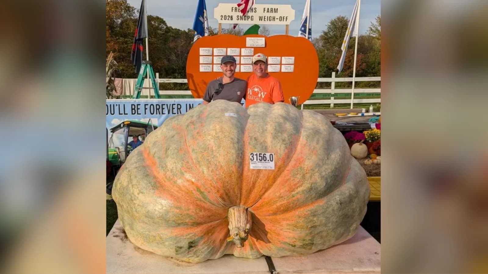 Produtor dos EUA cultiva abóbora de 1.432 kg e busca recorde mundial
