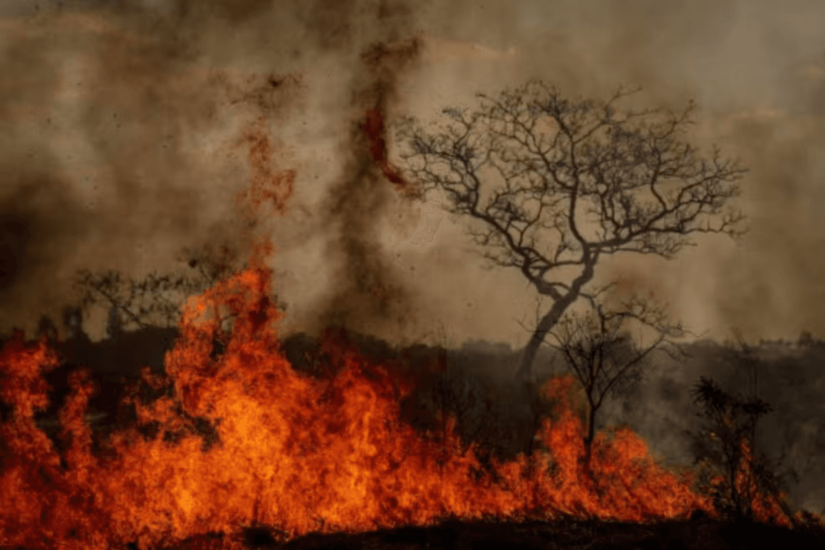Incêndio florestal em uma área de vegetação | Chamas | Fogo | Fumaça - Foto: Marcelo Camargo/ Agência Brasil