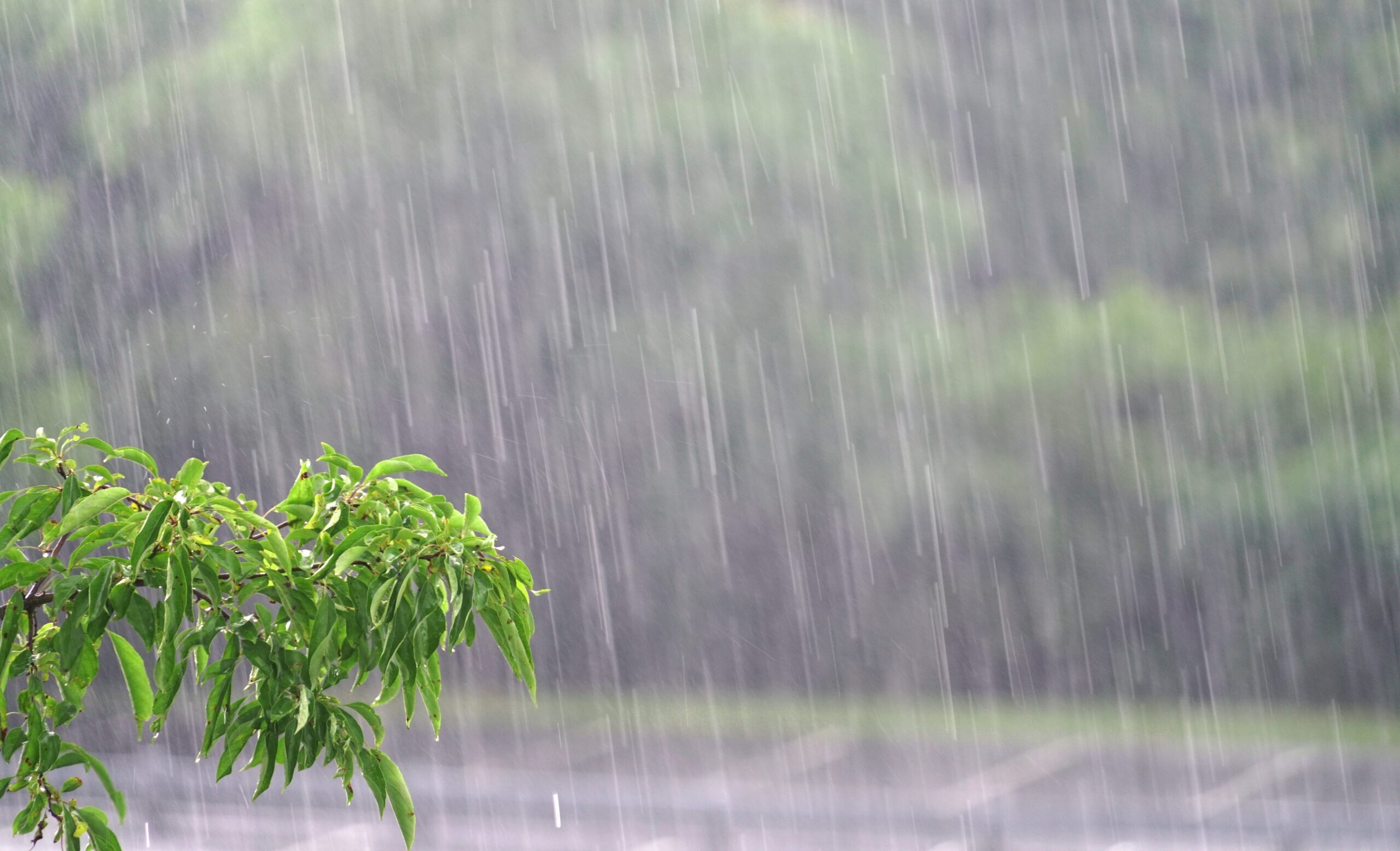 parking lot in the heavy rain in summer thunderstorm