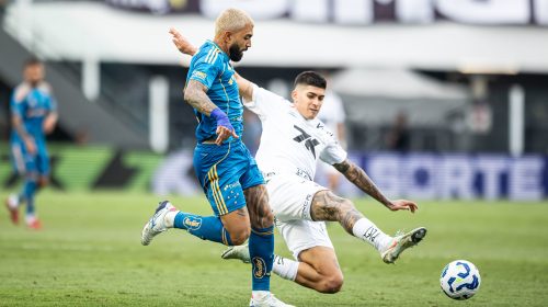 54969946158_decf0161bc_k