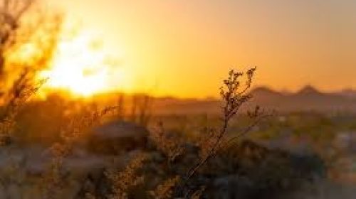 Foto: Tim Eiden/Pexels