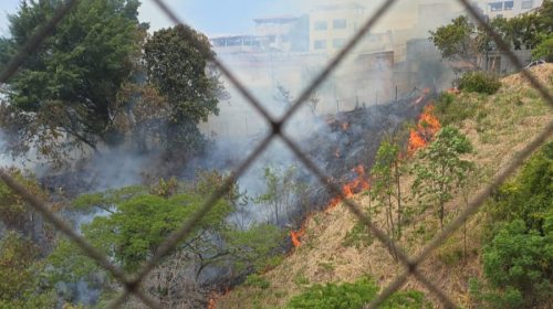 Bairro Luxemburgo, BH Incêndio em vegetação