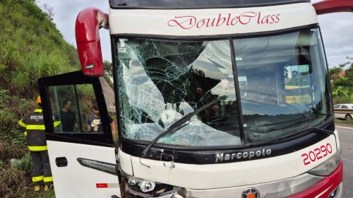 Batida entre ônibus e ambulância deixa três feridos na BR-262, em Juatuba