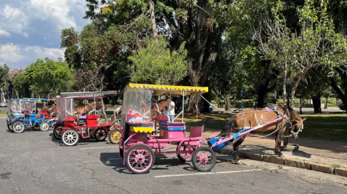 Charretes são um atrativo turístico tradicional de Poços de Caldas