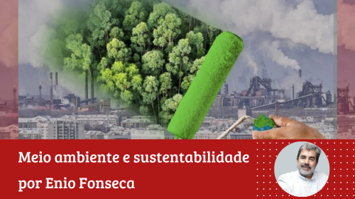 Enio Fonseca - A banalização da sustentabilidade. Reflexões olhando a COP 30