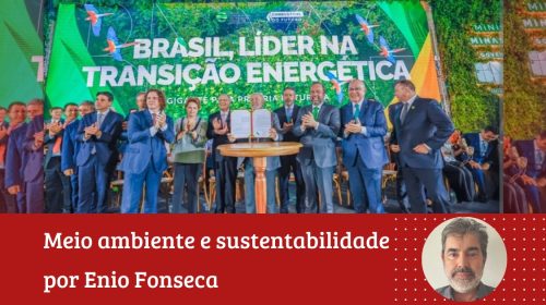 Coluna Enio Fonseca - Combustível do Futuro