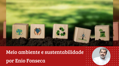 Enio Fonseca - Importância da Lei Geral do Licenciamento Ambiental