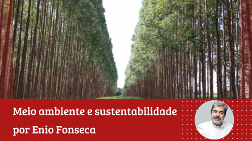 Enio Fonseca - Importância da Silvicultura para Minas Gerais