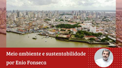 Enio Fonseca - O que esperar da COP-30 em Belém