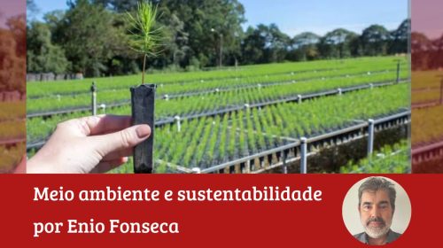 Coluna 2 Enio Fonseca