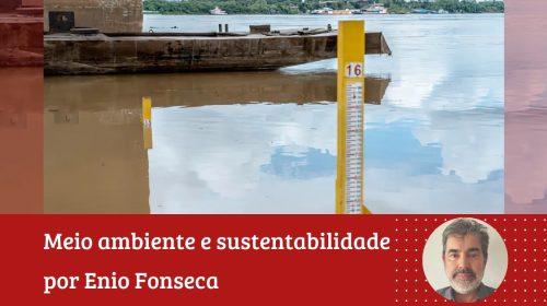 Enio Fonseca