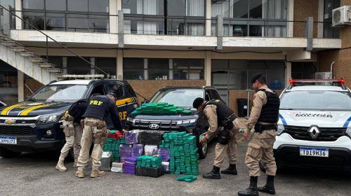 Forças de segurança apreendem 324 kg de maconha na BR-267 juiz de fora