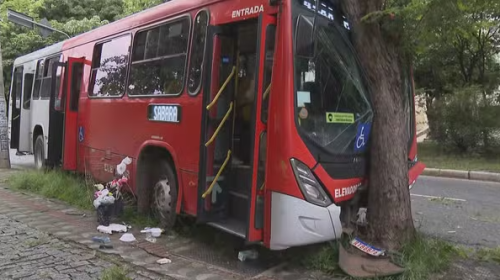 Ônibus bate em árvore e deixa feridos, em BH