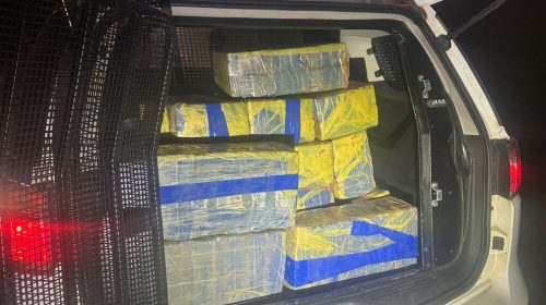 PMR apreende 456 barras de maconha em Muriaé (MG)