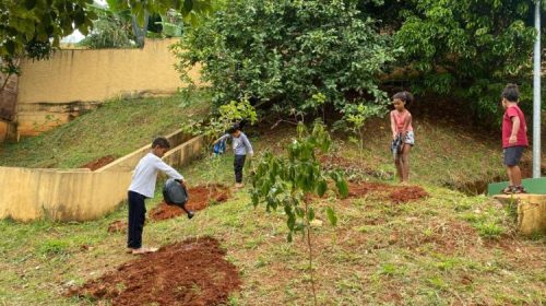 Projeto Escola Verde - educação ambiental - escolas municipais de BH