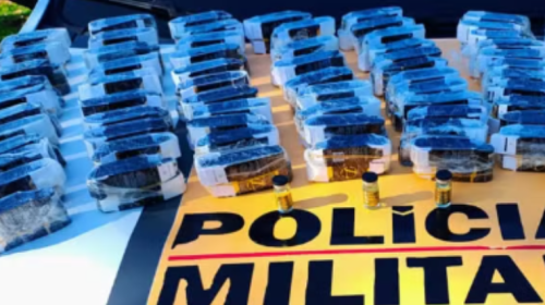 Quase 500 frascos de anabolizantes são apreendidos