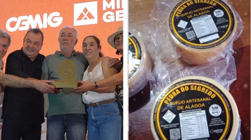 Queijo produzido no Sul de Minas vence prêmio principal em concurso internacional
