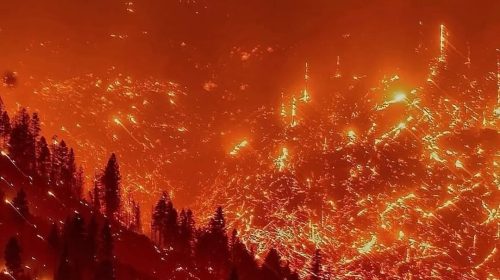 incêndio em los angeles - fogo - califórnia