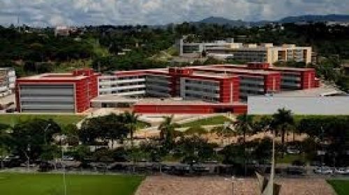 Reprodução/UFMG