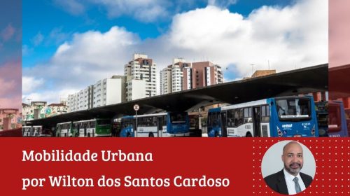 Wilton dos Santos Cardoso - Coluna 1