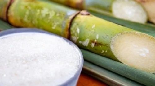 Fonte: noticiasagricolas.com