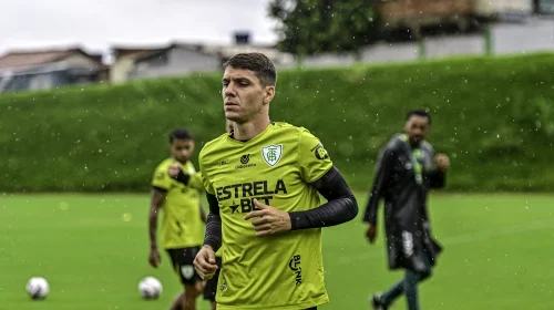 ale america