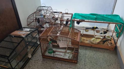 FOT: PMRV/Reprodução