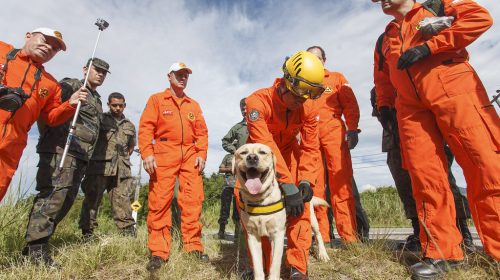 Foto: Força Aérea Brasileira/ Johnso