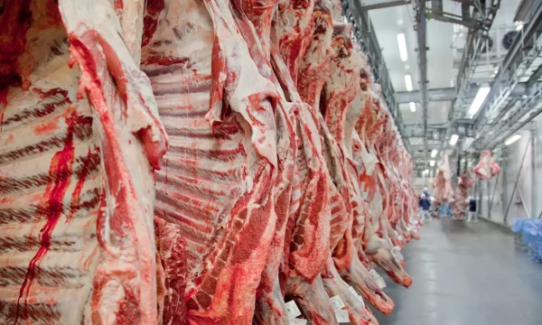 Foto: Divulgação/Abiec