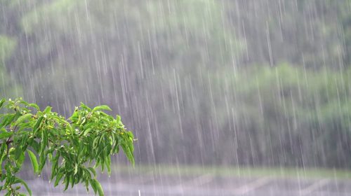 parking lot in the heavy rain in summer thunderstorm