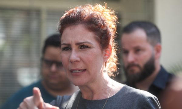 deputada carla zambelli