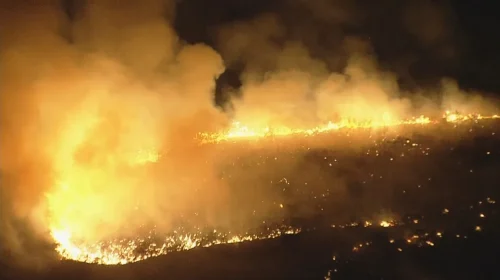 Foto: Reprodução/TV Globo
