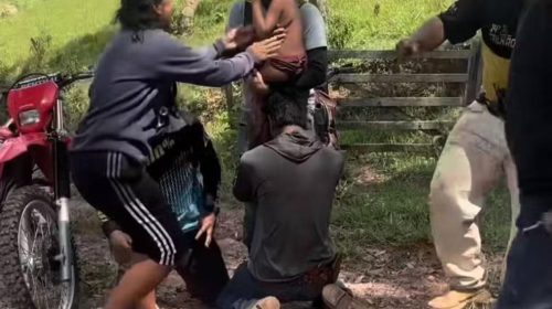 Foto: PMMG/Reprodução