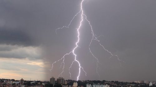 Foto: Agência Fapesp